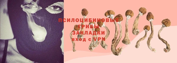 дурь Алексеевка