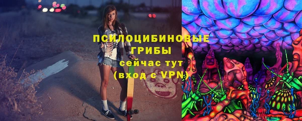 дурь Алексеевка