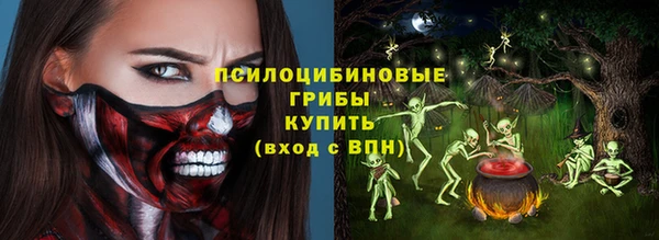 дурь Алексеевка
